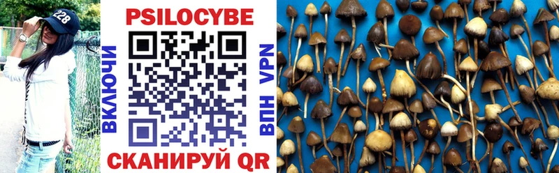 Псилоцибиновые грибы мухоморы  Шенкурск 