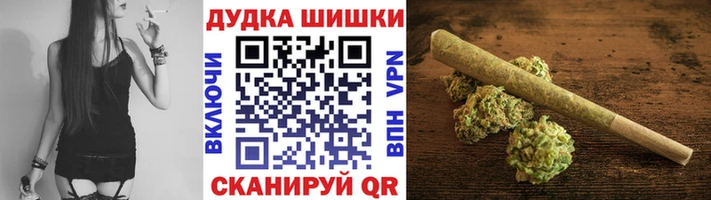 Конопля индика Шенкурск